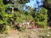 cuba201163_small.jpg