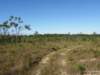 cuba201165_small.jpg