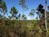 cuba201166_small.jpg