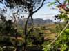 cuba201168_small.jpg