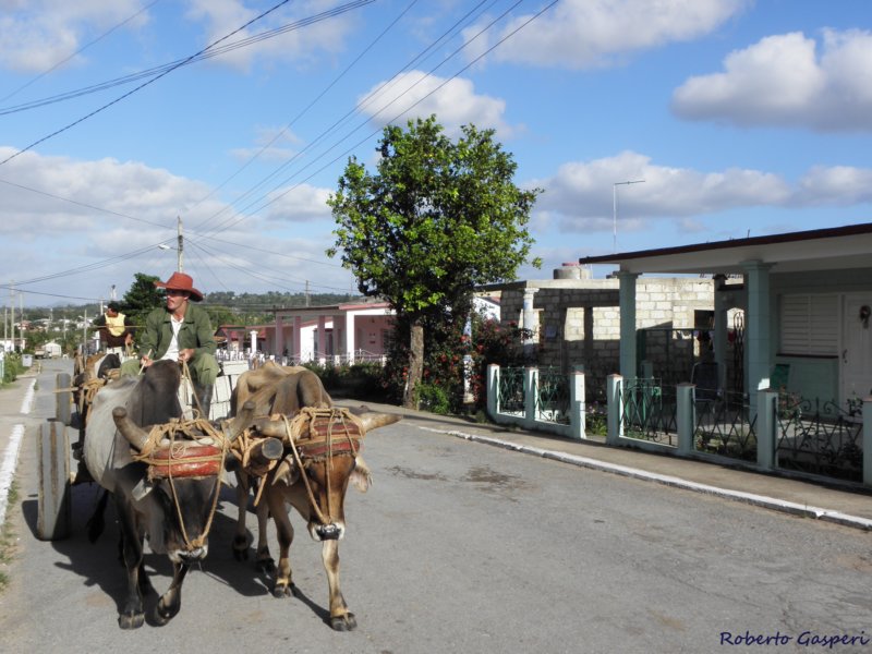 cuba20118.jpg