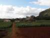 cuba201181_small.jpg
