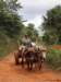 cuba201191_small.jpg