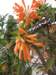 cuba201193_small.jpg