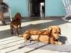 cuba201199_small.jpg