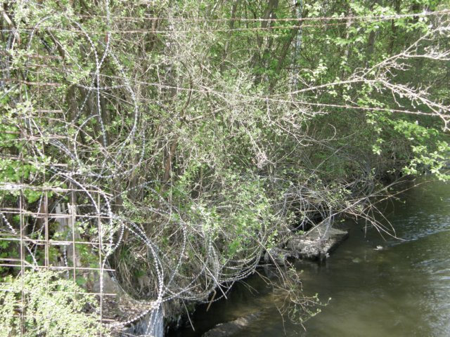 munichanddachauapril09162.jpg
