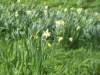 englandnorfolk12_small.jpg