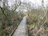 englandnorfolk82_small.jpg