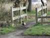 englandnorfolk92_small.jpg