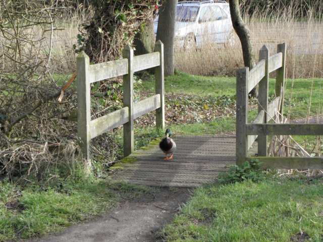 englandnorfolk93.jpg