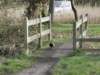 englandnorfolk93_small.jpg