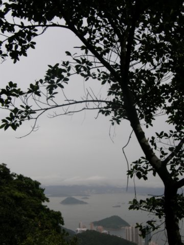 hongkongaug2009101.jpg
