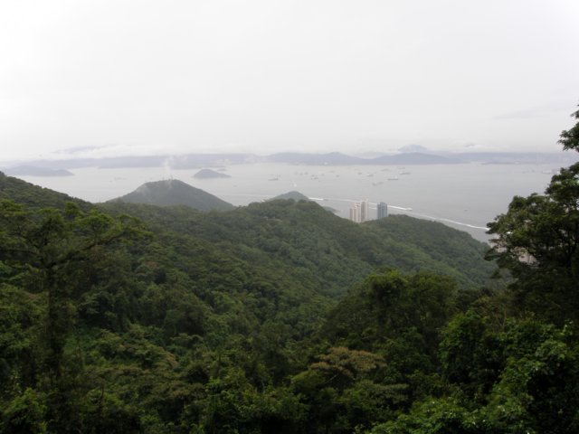 hongkongaug2009110.jpg