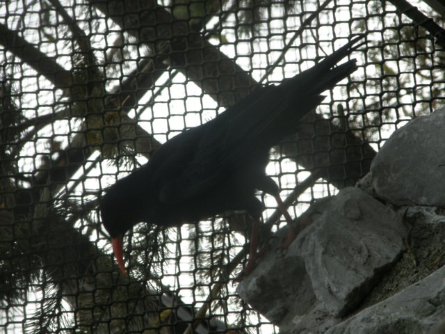 innsbrucknov0922.jpg