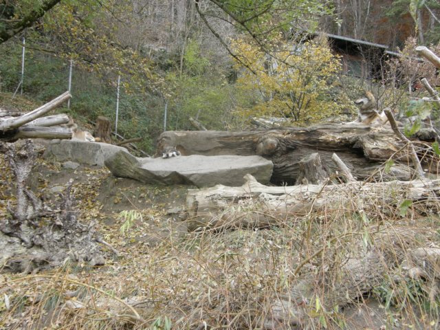 innsbrucknov0924.jpg