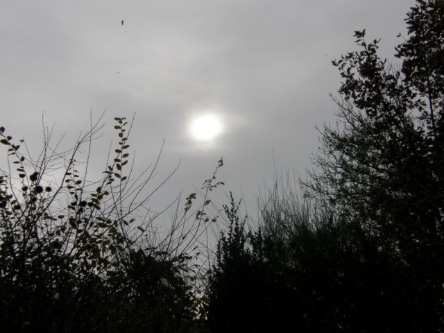innsbrucknov0930.jpg