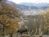 innsbrucknov0948_small.jpg