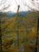 innsbrucknov0966_small.jpg