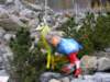 innsbrucknov0973_small.jpg