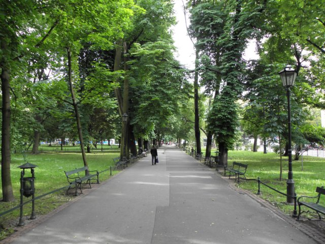 p6021537.jpg