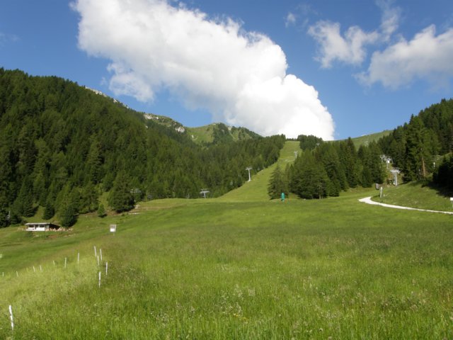 latemarerifugiotorredipisa0709.jpg