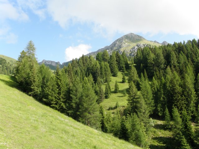 latemarerifugiotorredipisa07093.jpg