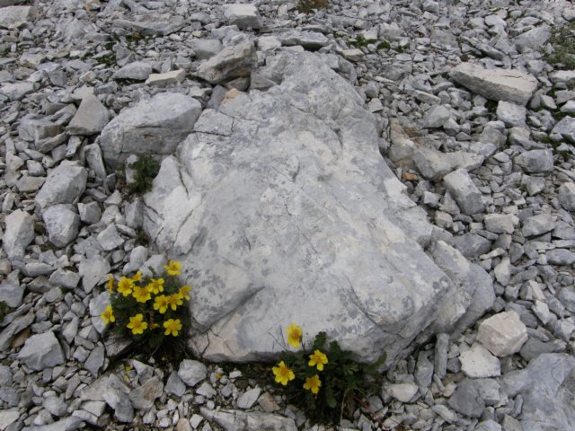 latemarerifugiotorredipisa070944.jpg