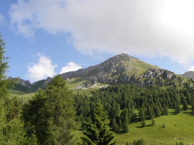 latemarerifugiotorredipisa07095.jpg
