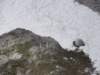 latemarerifugiotorredipisa070969_small.jpg