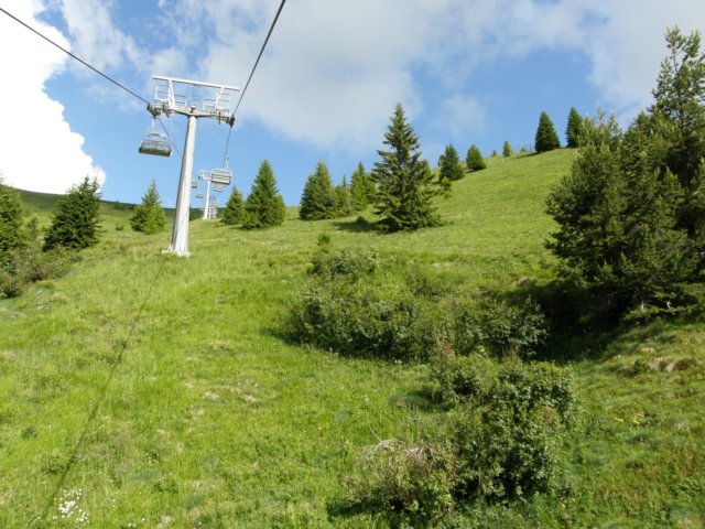 latemarerifugiotorredipisa07097.jpg