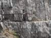 latemarerifugiotorredipisa070976_small.jpg