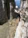 latemarerifugiotorredipisa070978_small.jpg