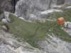 latemarerifugiotorredipisa070988_small.jpg
