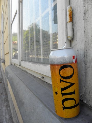 ljubljiana100.jpg