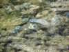 ljubljiana120_small.jpg