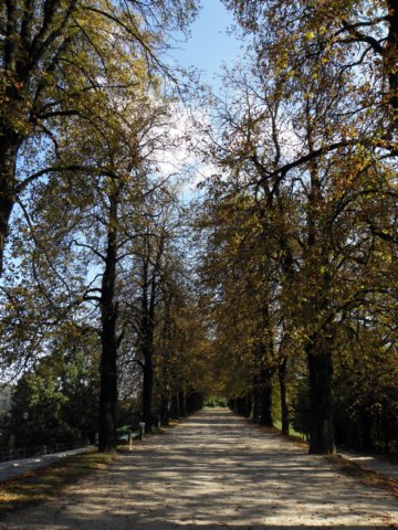 ljubljiana139.jpg