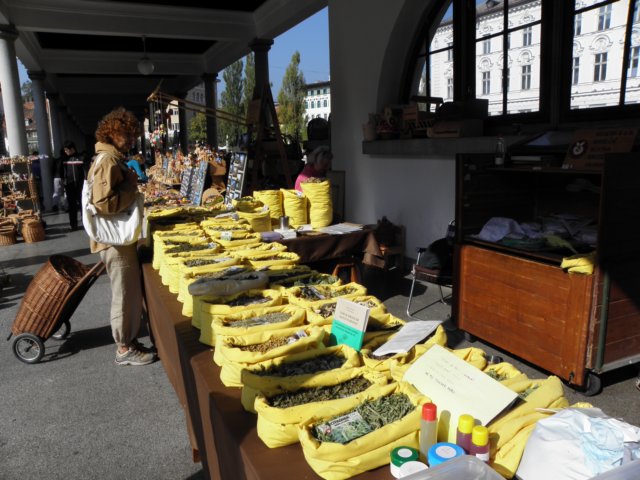 ljubljiana86.jpg