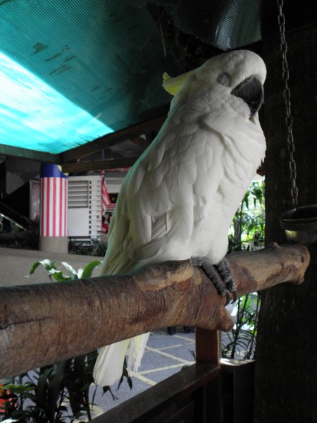 singaporemalaysia2012155.jpg