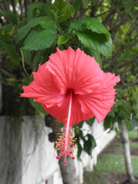 singaporemalaysia201291.jpg