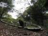 singaporemalaysia2012142_small.jpg