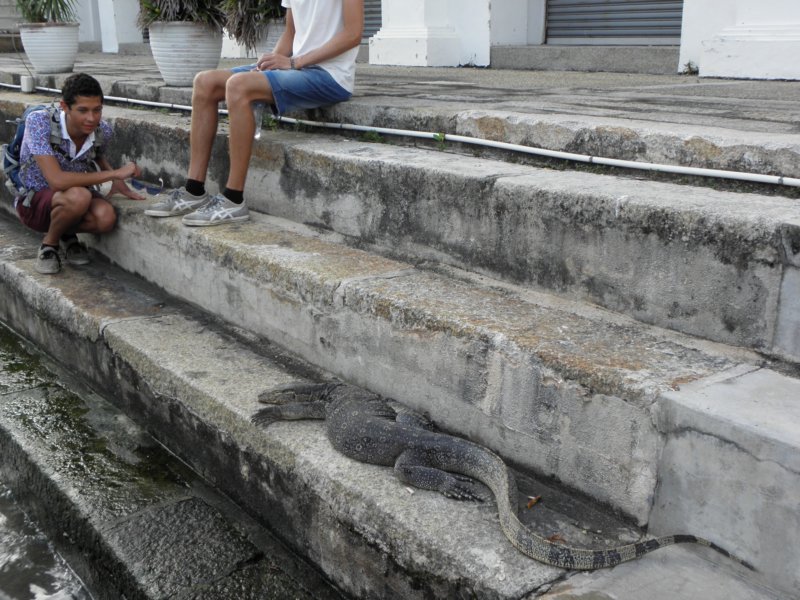 singaporemalaysia2012199.jpg