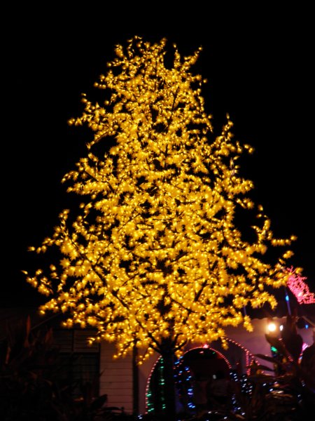 singaporemalaysia201297.jpg