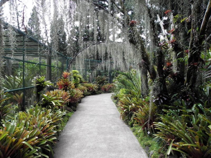 singaporemalaysia2012100.jpg