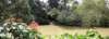 singaporemalaysia2012106_small.jpg