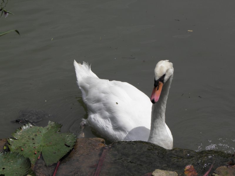 singaporemalaysia2012109.jpg
