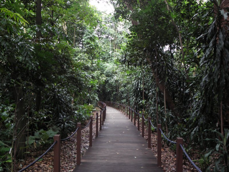 singaporemalaysia2012112.jpg
