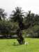 singaporemalaysia201248_small.jpg