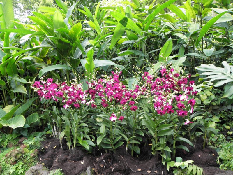 singaporemalaysia201260.jpg