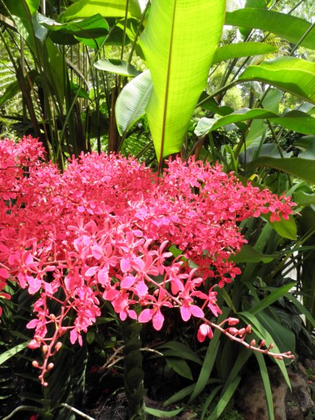 singaporemalaysia201262.jpg