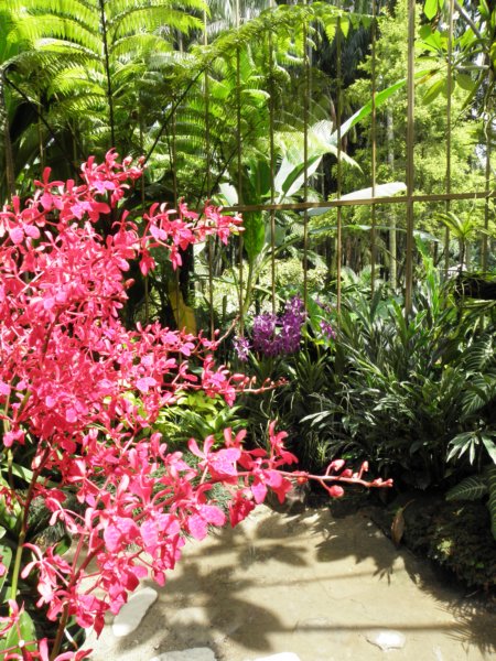singaporemalaysia201264.jpg